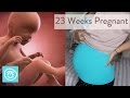 23 Weeks Pregnant: What You Need To Know - Channel Mum