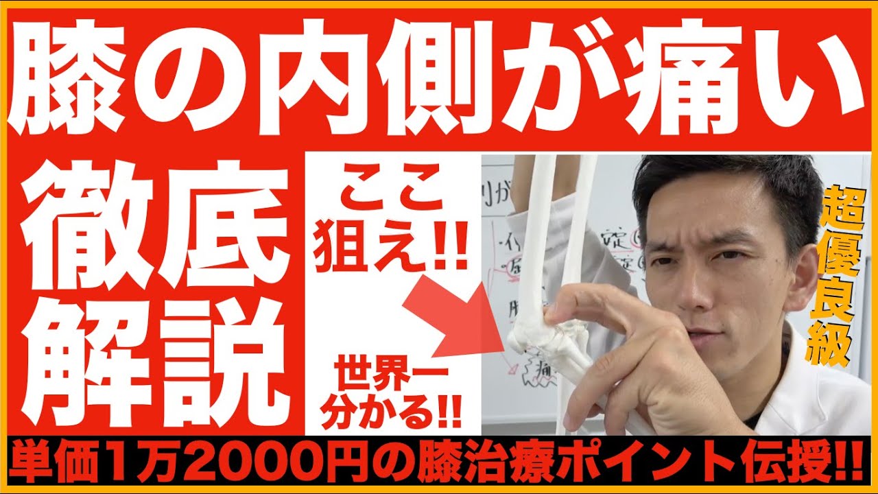 【膝の内側が痛い】ここ↓押すだけで痛みが消える魔法のポイント