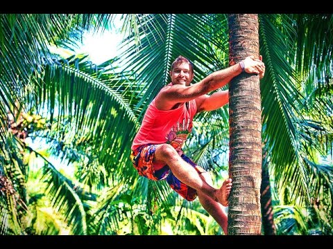 Searching For Coconuts (Vlog 23)