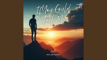 If You Could Feel Me