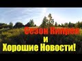 Хорошие новости!  // Сезон Кипрея // Жизнь в деревне