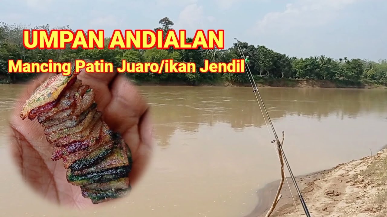 Mancing dasaran di sungai batang tebo umpan roti tawar target ikan