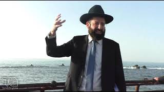 Journey to Akko: The Port and the Fish - Akko Vs. Spain