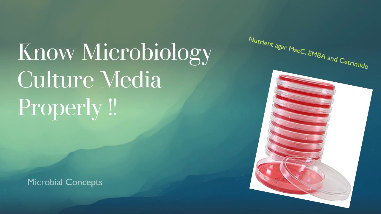Knowing Microbiology Culture media properly !! part 1 NA MacConkey