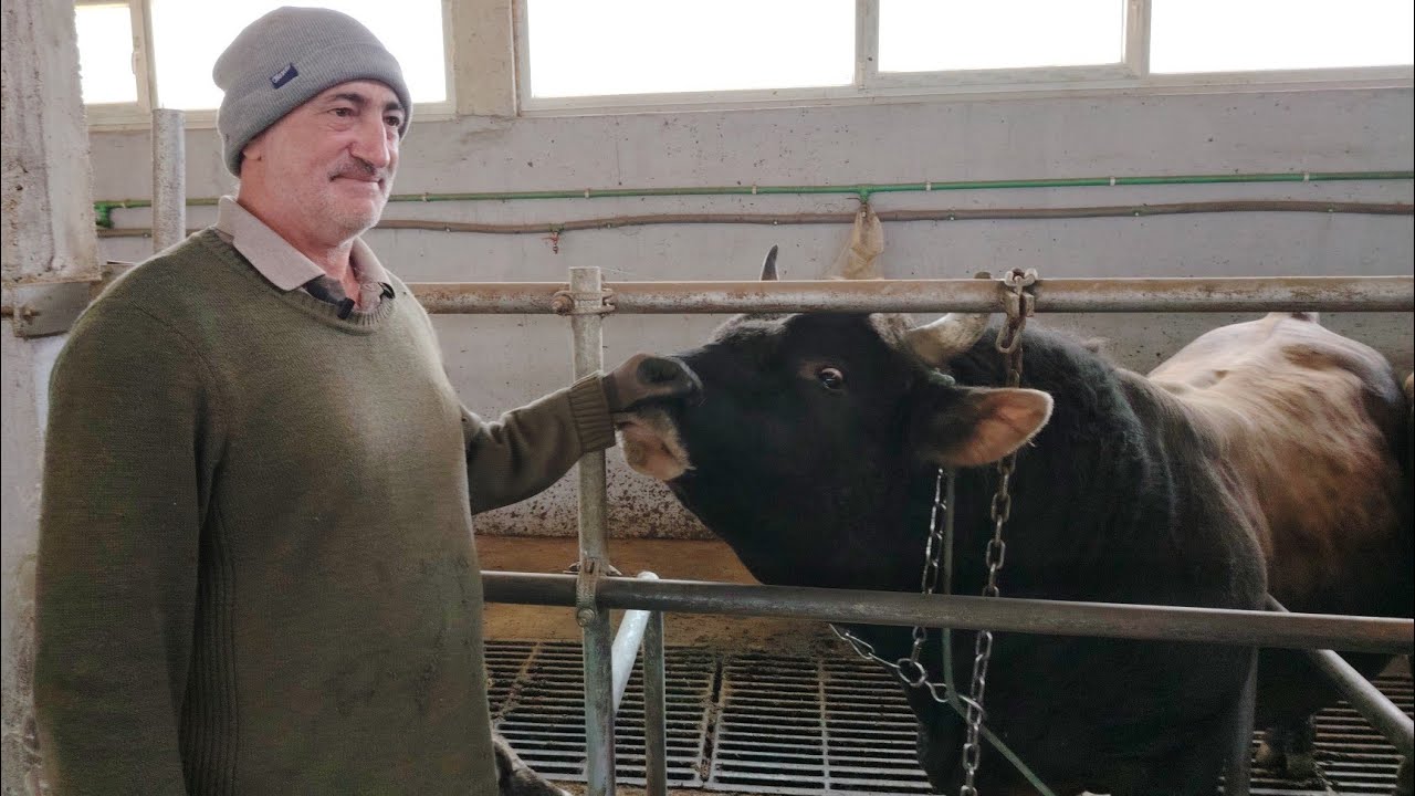 Farma Omić : Gdje se rađaju šampioni!