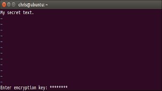 How to Password Protect Text Files Using Vim on Linux (or macOS)