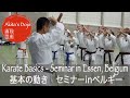 #1 Karate Basics - Shotokan Seminar in Essen, SKAI Belgium【Akita's Karate Video】