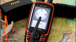 видео GPS-навигаторы для собак