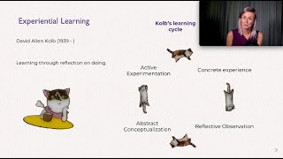 Celebrity Learning Theory:  Social Constructivism -- Josefin Westborg Net Worth