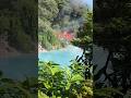 Beppu Hells – Japan’s Steamy Wonderland 🇯🇵🔥 #japan #travel