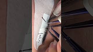 2D+3D+4D lash Extension  😍   #lashextension Wealth