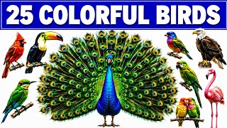25 Colorful Bird Names for Kids | Easy Nature Words, Bright Birds, and Fun Learning