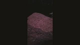 Snemali Bomo Bol Take Stvari