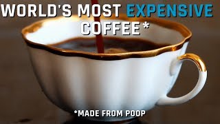 Word's Most Expensive Coffee