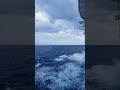 Sail Green: Eco-Friendly Cruise Adventures