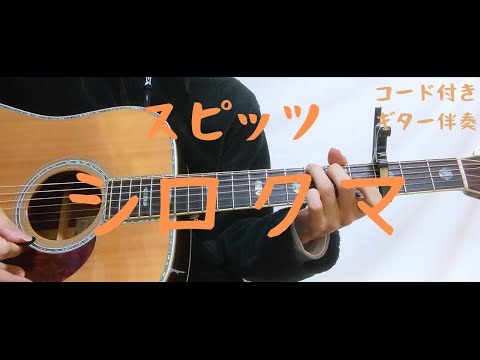 【ギターコード付き】スピッツ/シロクマ【アコギ弾いてみた】