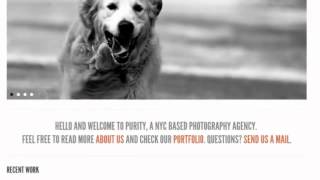 Purity: Clean, Minimal & Bold WordPress Theme