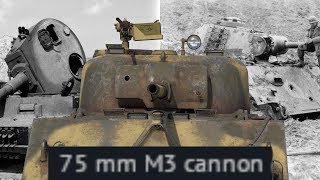 The M3 is all you need