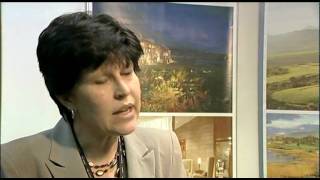 Michelle Van Der Westhuizen, Sales Manager, Arabella Starwood Hotels & Resorts, SA @ WSDE 2010