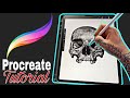 Procreate Tips For Beginners