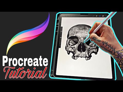 Procreate Tips For Beginners