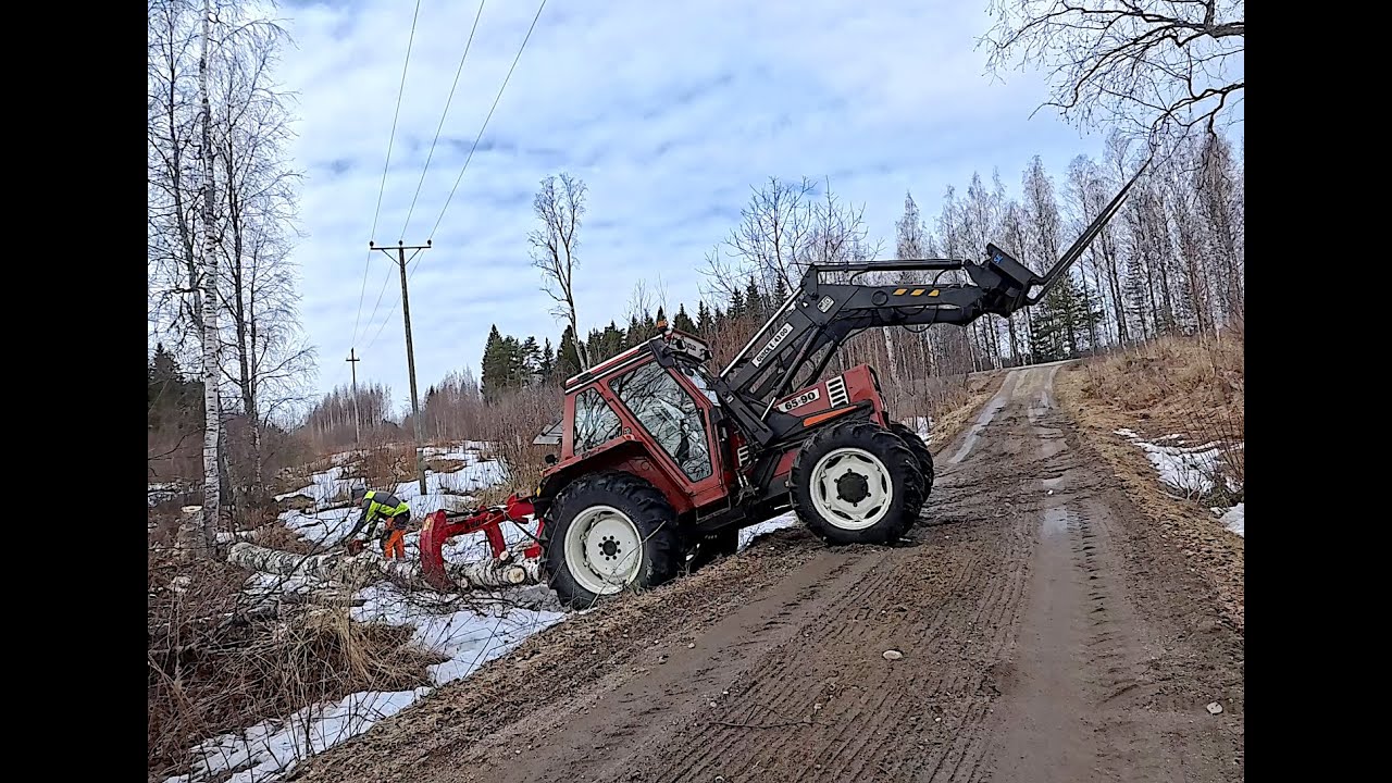Asiaa kanavasta ja koivu pötkälleen ison linjan kuppeesta