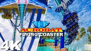Acrobat Flying Coaster [On-Ride 4K POV] - Nagashima Spa Land - YouTube