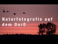 Naturfotografie auf dem Darß (Mecklenburg-Vorpommern)