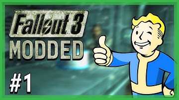 Fallout 3 Modded Let