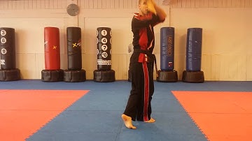 Advanced form 5 (Pyung ahn o dan)