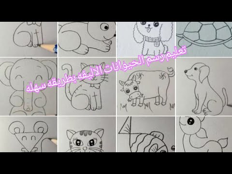 فيديو: كيفية رسم الحيوانات الأليفة
