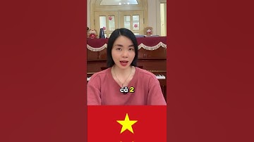 Vì Sao Chị Nguyễn Phương Hằng Có Hai Quốc Tịch | Hòa Vân | Canadapr.vn.