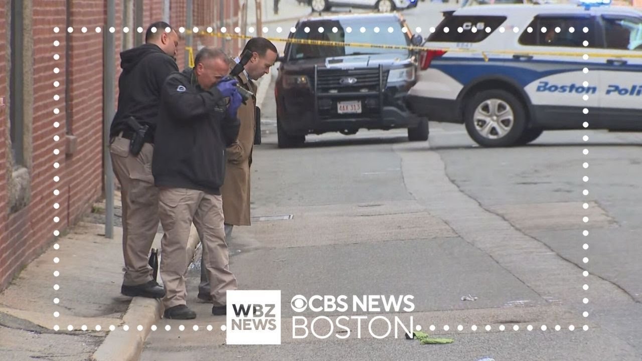 4-year-old girl dies after being hit by car in South Boston - YouTube