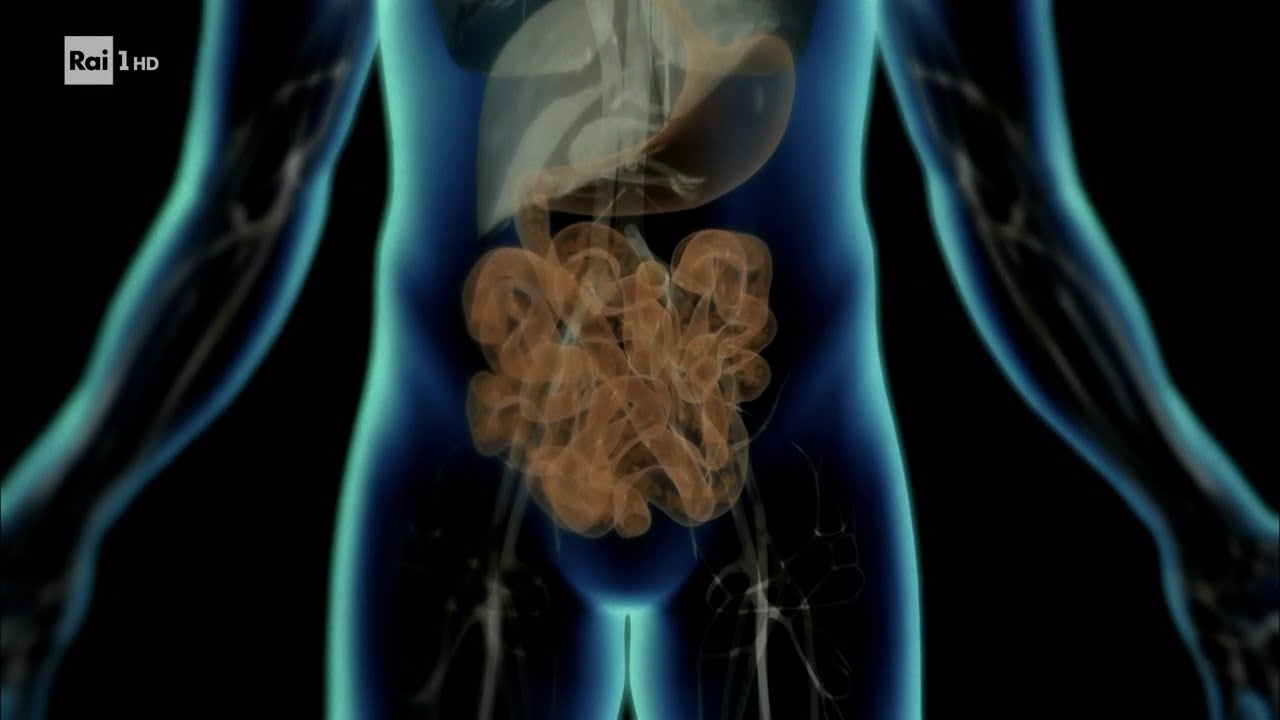 Trapianto di Microbiota - Superquark 10/07/2022