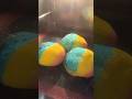 手間暇3倍！レインボークッキーシュー等、5種類の #スイーツ動画 #shorts #youtubeshorts #dessertshorts #baking #food