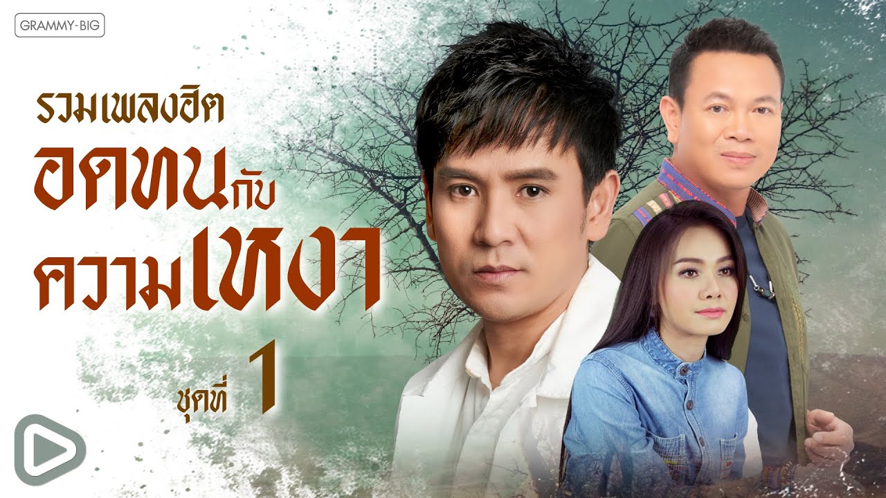 รวมแพลงฮิต อดทนกับความเหงา ชุดที่ 1 l อยากบอกว่าอ้ายเหงา, คนมีคู่ที่อยู่คนเดียว [Longplay]