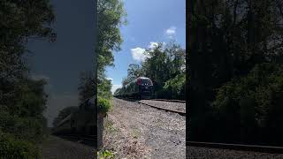 Alc-42 and P-42 zooms by #train #railroad #railfan #rxr #amtrak @amtrak