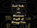 104. Maximum Depth of Binary Tree #python #coding #programming #leetcode