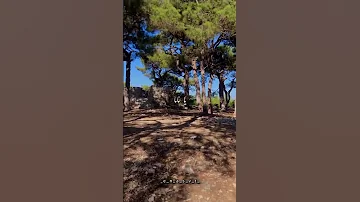 عتابات ستي عيونك سود يا حبر الدوالي 