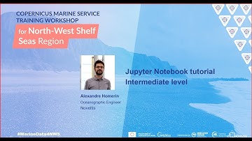 #MarineData4NWS 2023 - Jupyter Notebook Tutorial - Intermediate level