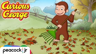 Raking in the Fun! | CURIOUS GEORGE