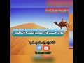 قم يا حبيب فإن الطريق بعيد وزادنا قليل 