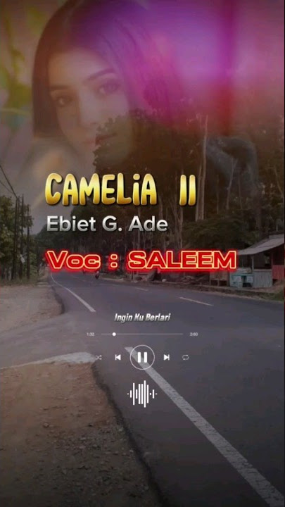 Camelia II Ebiet G Ade (Cover) - Saleem