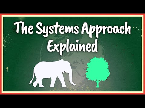 Video: Ano ang system based approach?