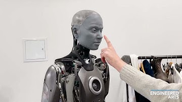 The Humanoid Robot 