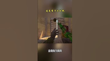 這是有多大的仇 #cs2 #csgo #cs