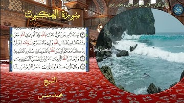 سورة العنكبوت l الشيخ محمد حسن السويفى