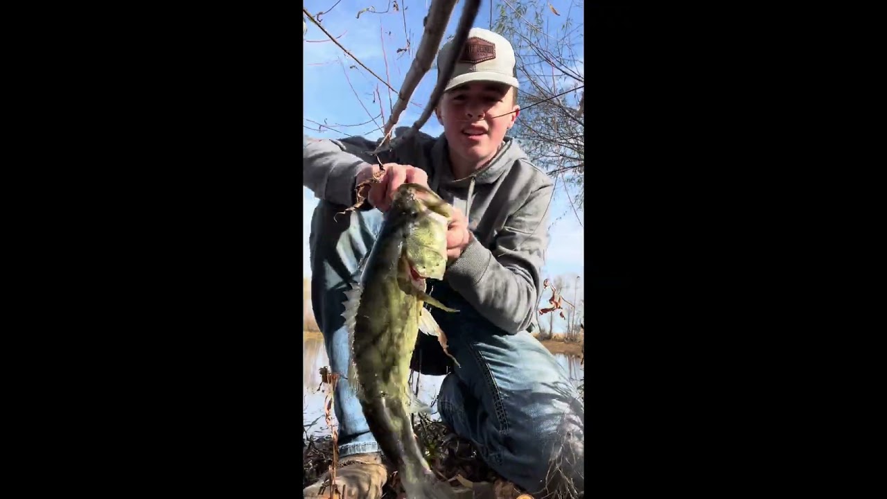 Bass fishing at the pond