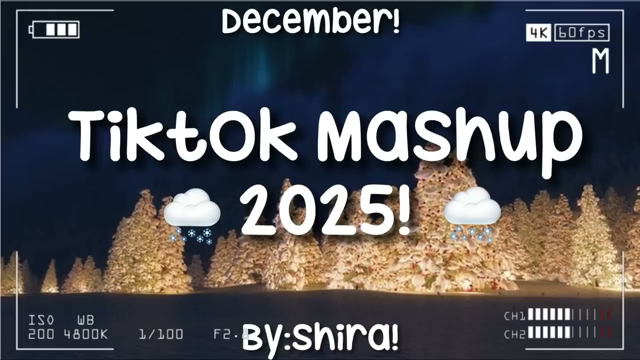 TikTok mashup 2025!🌨️