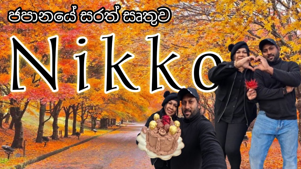 ජපානයට තවත් එක් ලස්සන සෘතුවක් උදාවෙලා || Autumn in Japan 🍁🍁|| Life In Japan🇯🇵🇱🇰@Reshviwithjapan7254 